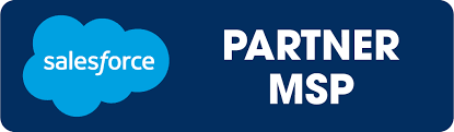 salesforce-partner-msp